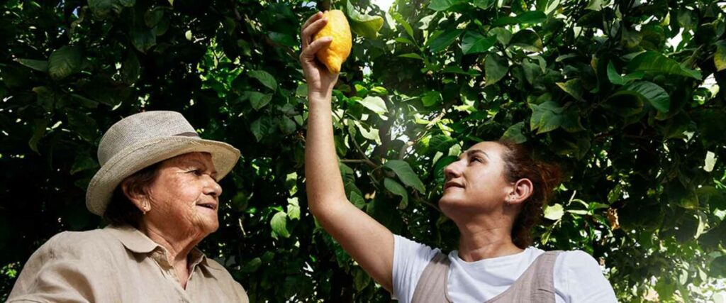 Limites a las tareas