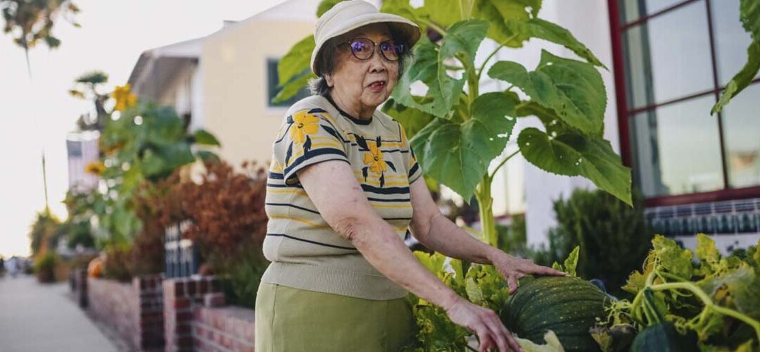 Cuidado de mayores y educación ambiental