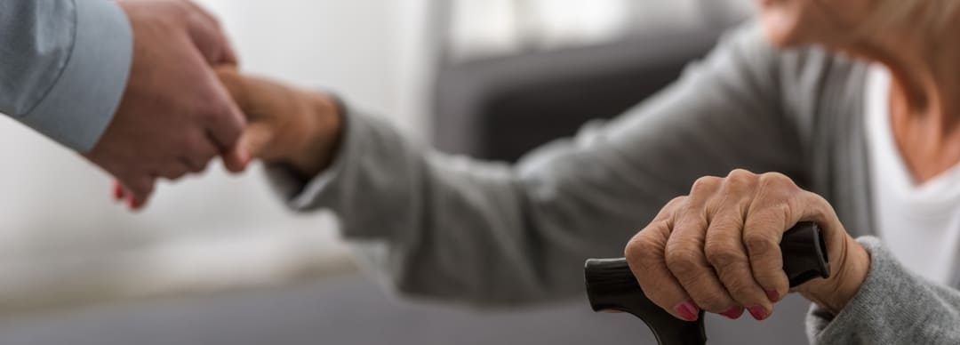 Servicios Especializados